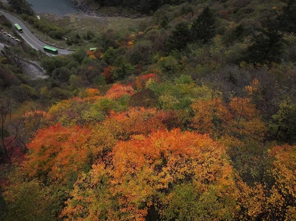 Jiuzhaigou Valley in Autumn