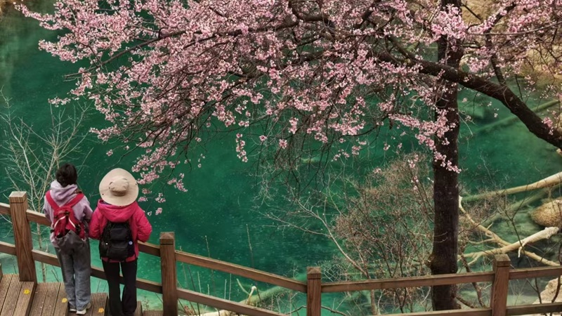 Spring scenery in Jiuzhaigou