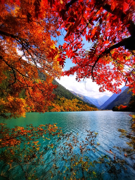 Five-Color Pool Autumn Photo