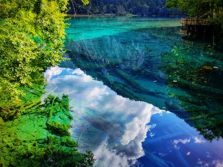 Clear Blue Lake Water