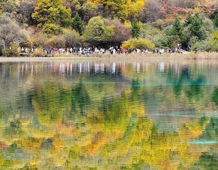 Colors of Five-Color Pool