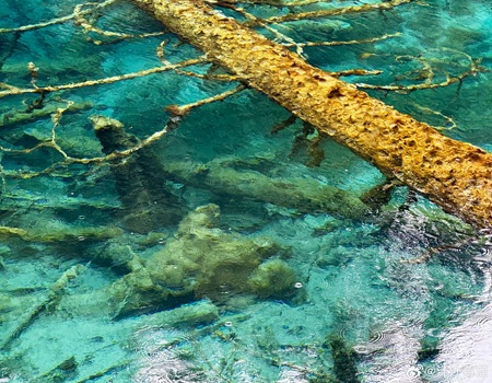Lakebed details of Five-Color Pool