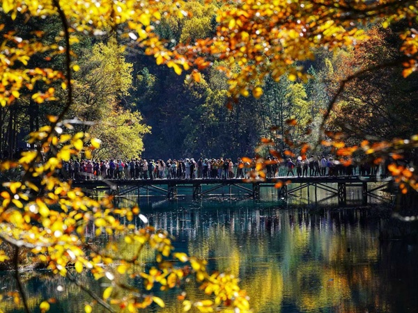 Boardwalk route to Five Flower Lake