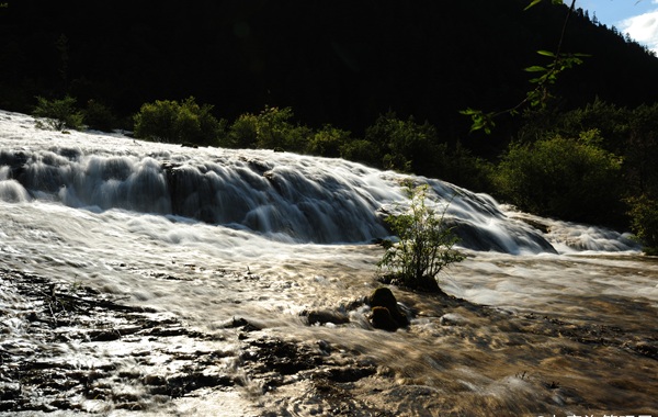 Pearl Shoal limestone terrace and travertine landscape